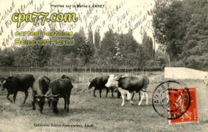 Annet Sur Marne (Seine-et-Marne) - Prairies sur la Marne