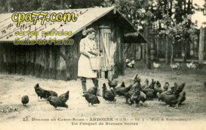 Arbonne La Forêt (Seine-et-Marne) - Domaine de Corne-Biche Un paquet de Bresses noires