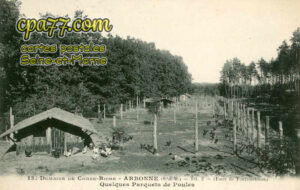 Arbonne La Forêt (Seine-et-Marne) - Domaine de Corne-Biche – Quelques parquets de Poules