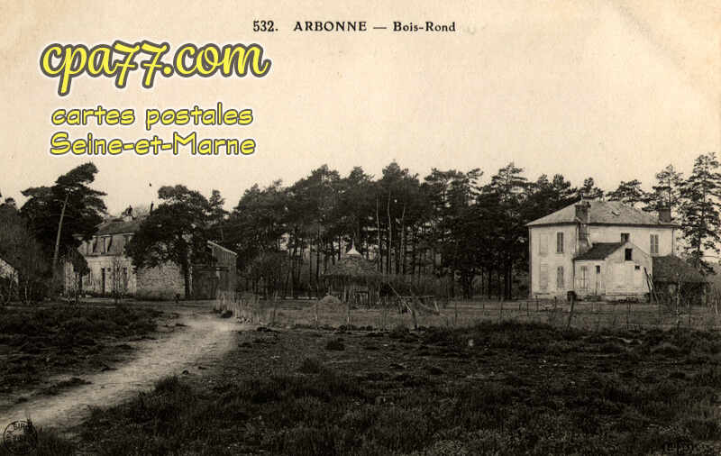 Arbonne La Forêt (Seine-et-Marne) - Bois-Rond