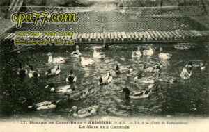 Arbonne La Forêt (Seine-et-Marne) - Domaine de Corne-Biche – La Mare aux Canards