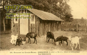 Arbonne La Forêt (Seine-et-Marne) - Domaine de Corne-Biche – La Chèvrerie
