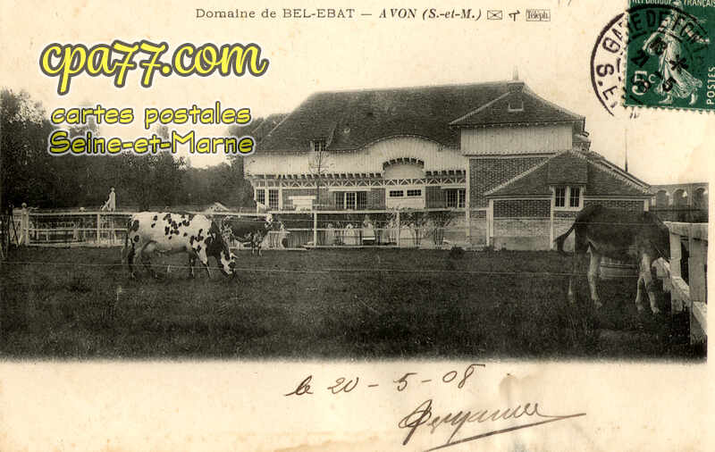 Avon (Seine-et-Marne) - Domaine de Bel-Ebat