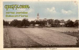 Bailly Carrois (Seine-et-Marne) - Vue générale