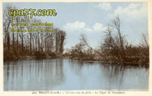 Balloy (Seine-et-Marne) - Un bon coin de pêche – La Digue de Champeaux