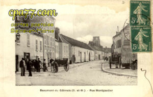 Beaumont Du Gâtinais (Seine-et-Marne) - Rue Montgaudier