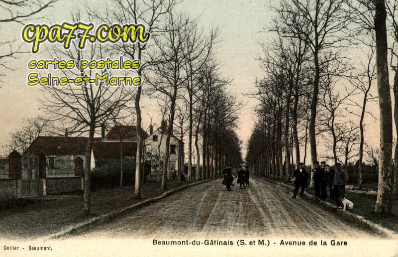 Beaumont Du Gâtinais (Seine-et-Marne) - Avenue de la Gare