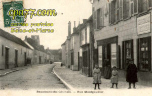 Beaumont Du Gâtinais (Seine-et-Marne) - Rue Montgaudier