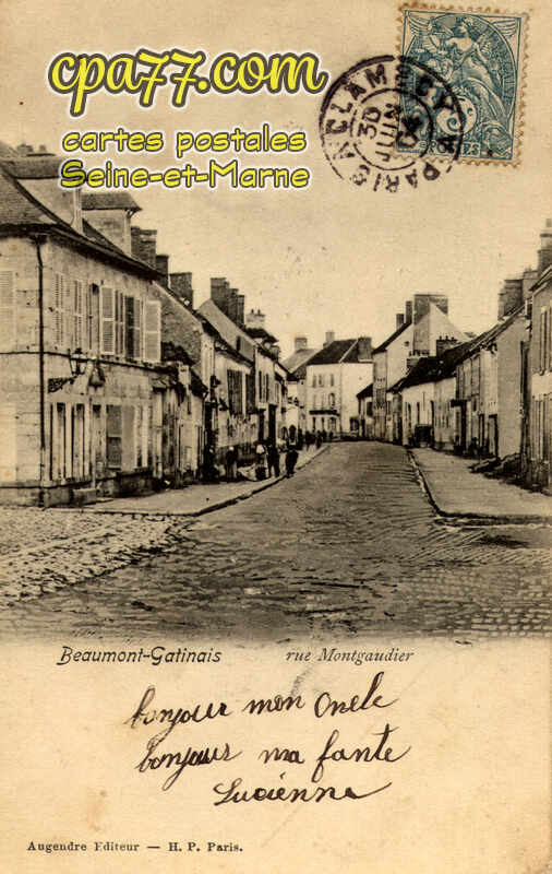 Beaumont Du Gâtinais (Seine-et-Marne) - Rue Montgaudier
