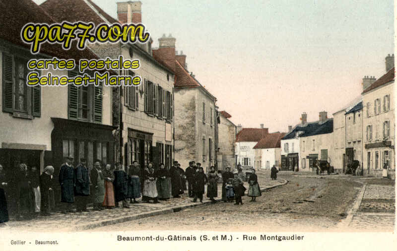 Beaumont Du Gâtinais (Seine-et-Marne) - Rue Montgaudier