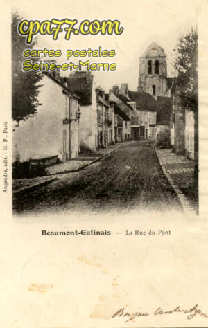 Beaumont Du Gâtinais (Seine-et-Marne) - La Rue du Pont