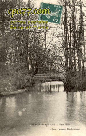Beton Bazoches (Seine-et-Marne) - Sous Bois