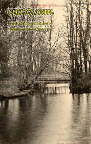 Beton Bazoches (Seine-et-Marne) - Sous Bois
