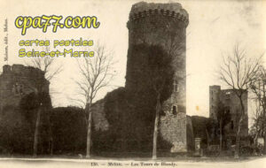 Blandy Les Tours (Seine-et-Marne) - Les Tours