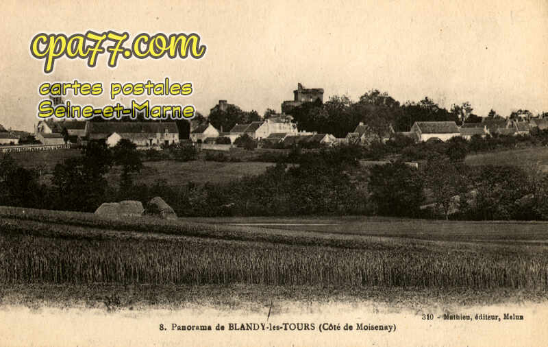 Blandy Les Tours (Seine-et-Marne) - Panorama côté de Moisenay