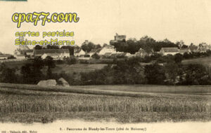 Blandy Les Tours (Seine-et-Marne) - Panorama (côté de Moisenay)