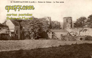 Blandy Les Tours (Seine-et-Marne) - Ruines du Château – La Tour carrée