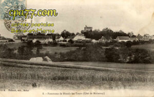Blandy Les Tours (Seine-et-Marne) - Panorama (côté de Moisenay)
