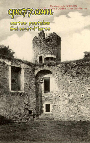Blandy Les Tours (Seine-et-Marne) - Les Oubliettes