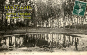 Bois Le Roi (Seine-et-Marne) - La Mare