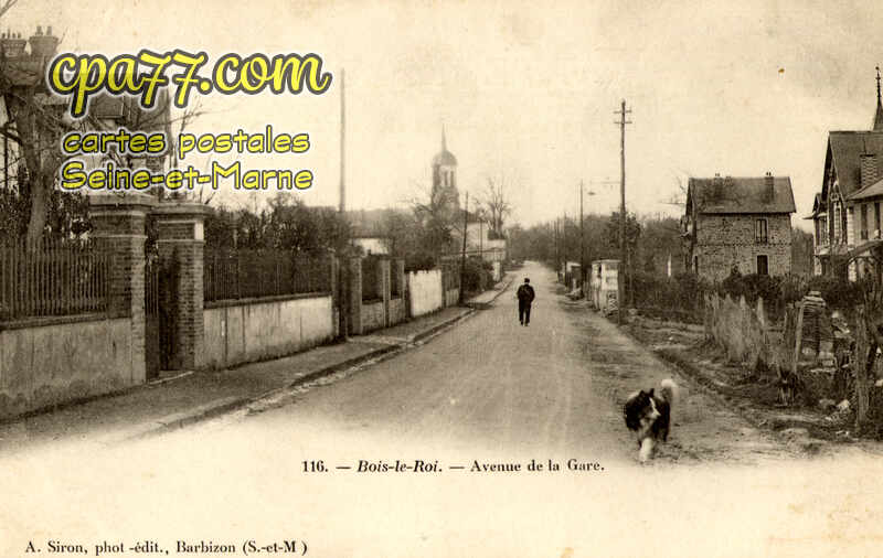 Bois Le Roi (Seine-et-Marne) - Avenue de la Gare