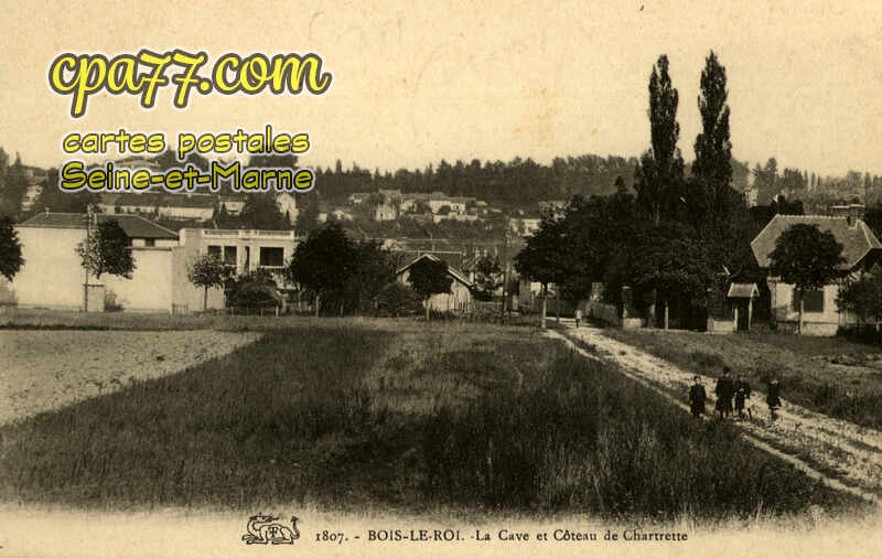 Bois Le Roi (Seine-et-Marne) - La Cave et le Côteau de Chartrette