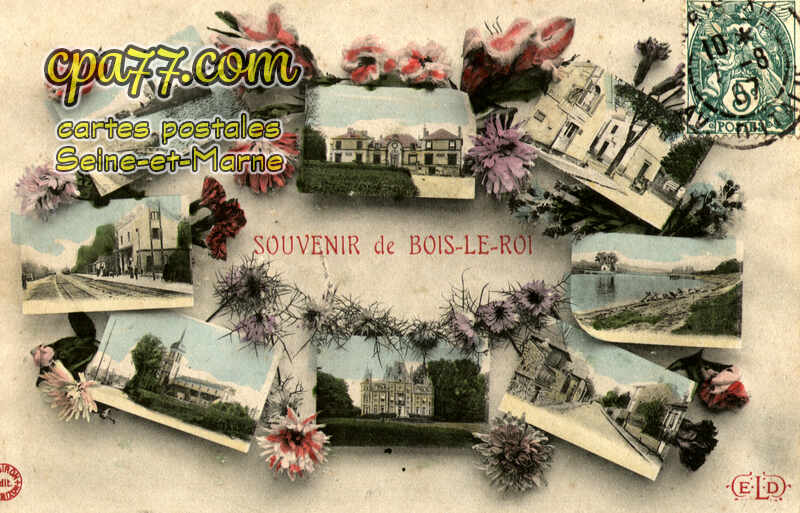 Bois Le Roi (Seine-et-Marne) - Souvenir de Bois-le-Roi