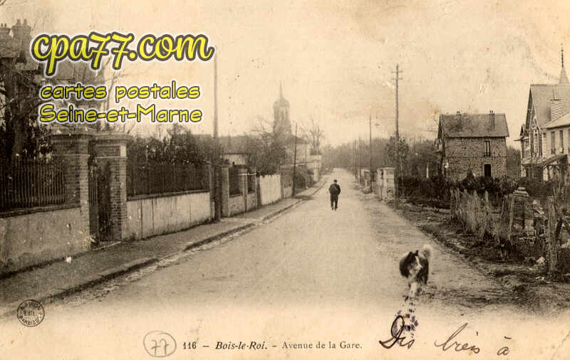Bois Le Roi (Seine-et-Marne) - Avenue de la Gare