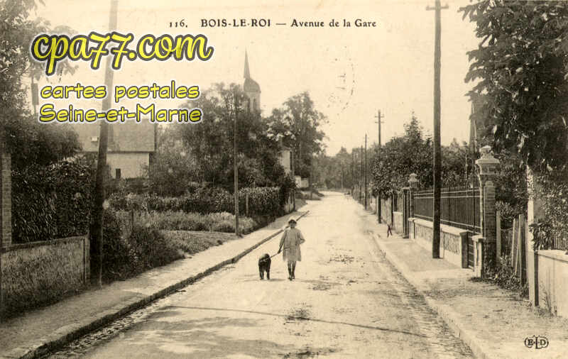 Bois Le Roi (Seine-et-Marne) - Avenue de la Gare