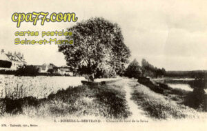Boissise La Bertrand (Seine-et-Marne) - Chemin du bord de la Seine