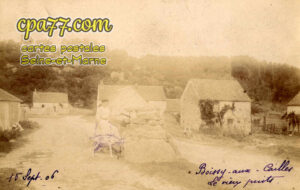 Boissy Aux Cailles (Seine-et-Marne) - Le vieux puits