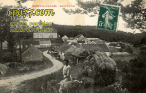 Boissy Aux Cailles (Seine-et-Marne) - Route du Fiet