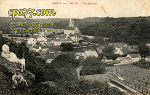 Boissy Aux Cailles (Seine-et-Marne) - Vue générale