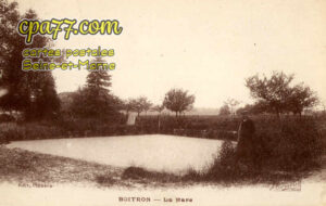 Boitron (Seine-et-Marne) - La Mare