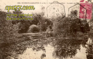 Bourron Marlotte (Seine-et-Marne) - Forêt de Fontainebleau – La mare aux fées