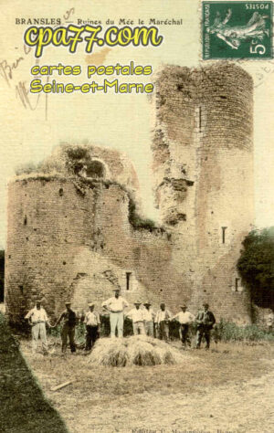 Bransles (Seine-et-Marne) - Ruines du Mée le Maréchal