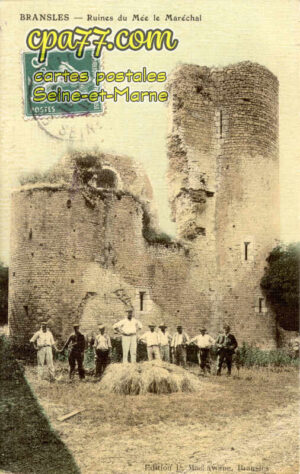 Bransles (Seine-et-Marne) - Ruines du Mée le Maréchal