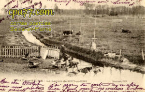 Bray Sur Seine (Seine-et-Marne) - Le Lavoir de Mouy-sur-Seine