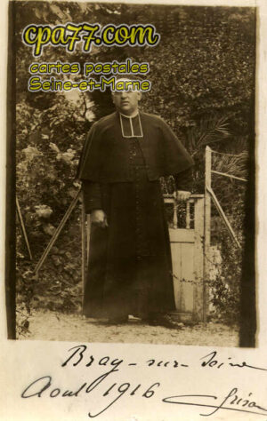 Bray Sur Seine (Seine-et-Marne) - Bray-sur-Seine ( carte Photo )