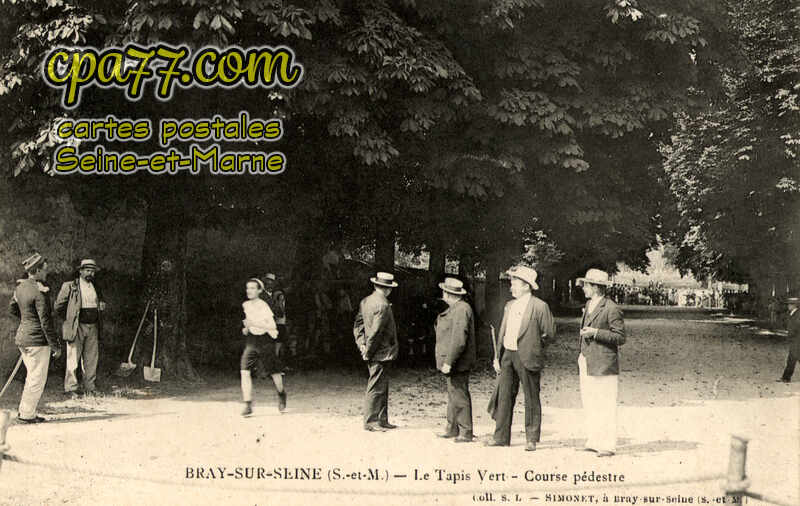 Bray Sur Seine (Seine-et-Marne) - Le Tapis Vert – Course pédestre