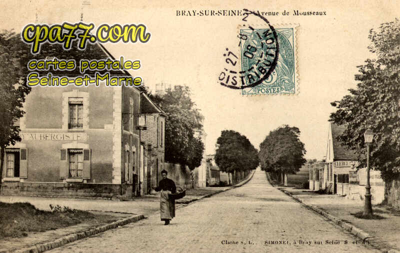 Bray Sur Seine (Seine-et-Marne) - Avenue des Mousseaux