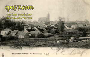 Brie Comte Robert (Seine-et-Marne) - Vue panoramique