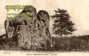 Buthiers (Seine-et-Marne) - Roncevaux (S.-et-M.) – Le Cèdre