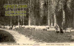 Carnetin (Seine-et-Marne) - Sous Bois aux Valières