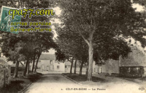 Cély En Bière (Seine-et-Marne) - Les Platanes