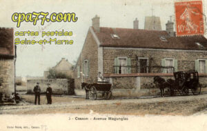 Cesson (Seine-et-Marne) - Avenue Magunglas