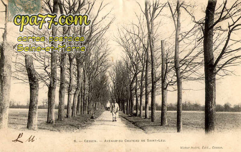 Cesson (Seine-et-Marne) - Avenue du Château de Saint-Leu