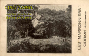 Cesson (Seine-et-Marne) - « Les Marronniers »