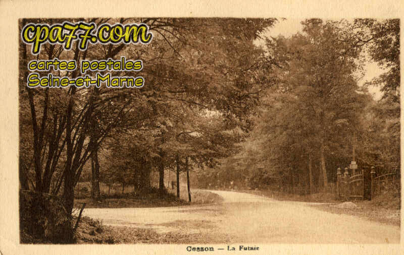 Cesson (Seine-et-Marne) - La Futaie
