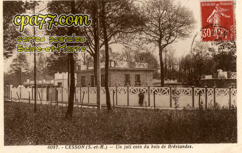 Cesson (Seine-et-Marne) - Un joli coin du bois de Bréviandes